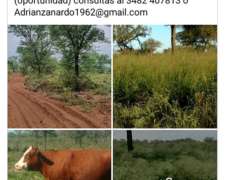 1.100 Has Mixto Apto Riego Producción Agroganaderas 750 X Ha