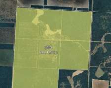 650 Hectáreas Título de Propiedad