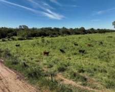 Pcia. de Formosa - Pozo del Tigre 5929 Ha