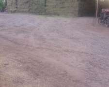 Vendo Fardos y Rollos Alfalfa