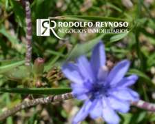 Terreno en Colón, Entre Ríos