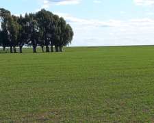 Vendo Campo Agricolo Ganadero Cercano a Ruta