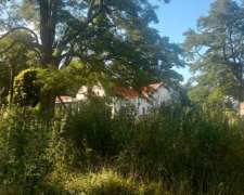 Campo Agricola 190 Ha AYA