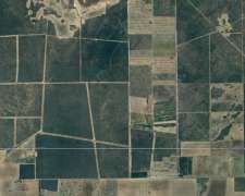 Realicó la Pampa Argentina