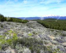 Chacra de 4 Has.villa Pehuenia, Neuquen.comercial/desarrollo