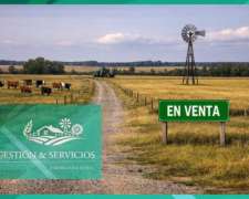 Campo En Venta - 1000 Ha - Suroeste San Luis Capital