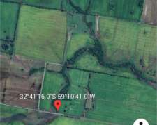 Campo Mixto con Costa del Río Gualeguay