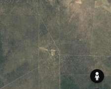 Alquilo Campo Ganadero 900 Ha