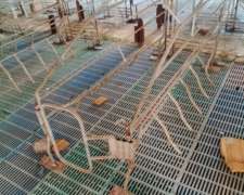 Lote Parideras, Jaulas de Parto, BOX de Maternidad 100u