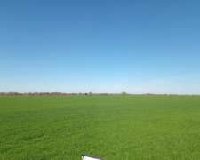 23,5 Ha En Laurencena Campo Mixto