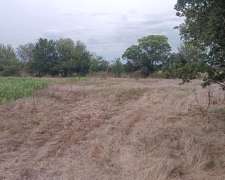 60 Ha Mixtas. Lucas González. muy Buen Campo