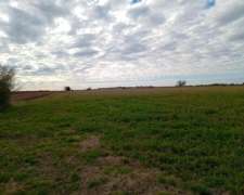 165 Ha Guardamontes. Buen Acceso. Campo Mixto