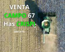 Venta Campo Crispi 67 Has
