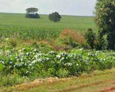 Imperdible Oportunidad Venta de Campo