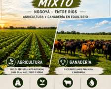 260 Has Campo Mixto Nogoya Entre Rios