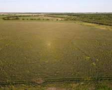 260 Hectáreas Mixtas, Maciá - Rosario del Tala. Entre Rios.