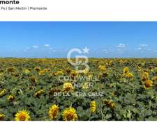 Piamonte, Santa FE, Campo Mixto