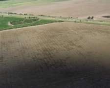 San Luis Naschel 200 Has 100 % Agrícolas