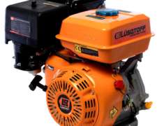 Motor Naftero 15 HP (lusqtoff)