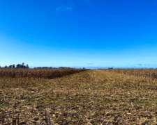 Dueño Vende Excelente Chacra Agrícola Lincoln