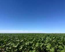 Vendo Campo a 20 Minutos de Villa Mercedes