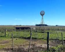 Se Venden 550 Has Mixtas Concordia. Entre Ríos.