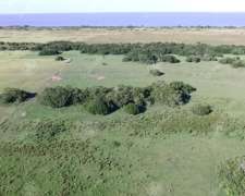 Campo en Venta 613 Has Agrícolas en Venta en Magdalena