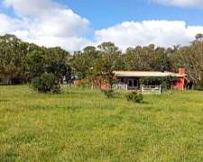 Campo en Dolores BS AS