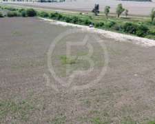 Campo Agrícola en Venta- 118 Ha en Sarmiento, Córdoba
