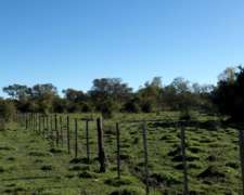 Vendo Campo 4800 Has. en Corrientes