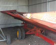 Girasolero Maizco de 12 a 70cm - Disponible, Tres Arroyos