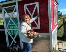 Galllinas de Campo Batarazas