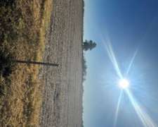 94 Agrícolas 25 de Mayo