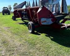 Maicero Maizco Mxlll 11 a 52. año 2008