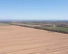 Pcia. de Salta - Campichuelo 1200 Has