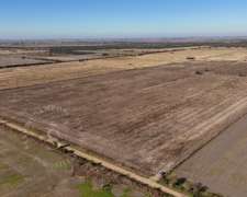 Agrícola Suelo 1/2. 43 HA. San Jerónimo del Sauce