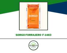 Semilla De Sorgo Silero F1483