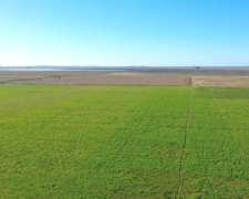 Leguizamón, Roque Sáenz Peña, Córdoba - 796 Ha