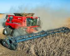 Draper Piersanti - 100% Financiados y Hasta 12 Cosechas