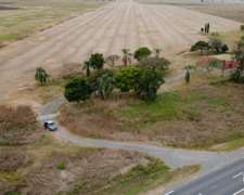 Campo Agrícola de 31,1 Ha en la Pelada, Santa FE
