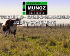 Tordillo Campo Ganadero C/ Mejoras