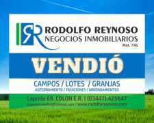 12.5 HA. en Villa Elisa