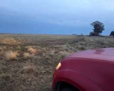 670 Hectareas San German Alquiler
