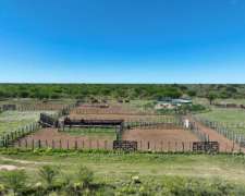 Pcia. de San Luis - Nueva Constitución 8888 Has