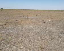 Se Vende Y/O Alquila Campo en Provincia de Santa FÉ