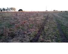 Campo en Venta en Punta Indio - 93 Hectáreas Sobre Ruta