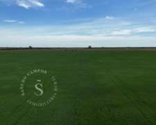 Venta Campo Agrícola. 103 Hectáreas. Constanza, Santa Fe.