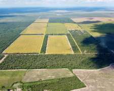 100 Has en Venta - Pcia del Chaco, Gancedo