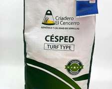 Semilla Cesped Fesetuca X 5kg