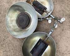 Campanas Avicolas Para Pollos